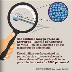 Los virus, las bacterias patógenas, algunos hongos y levaduras, representan los peligros de tipo biológico que causan riesgo a la salud del consumidor